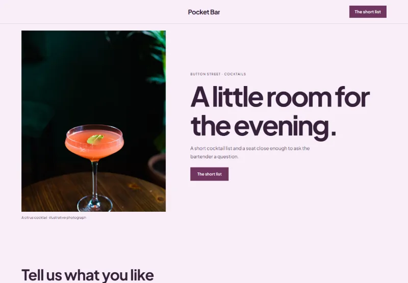 Pocket Bar website concept