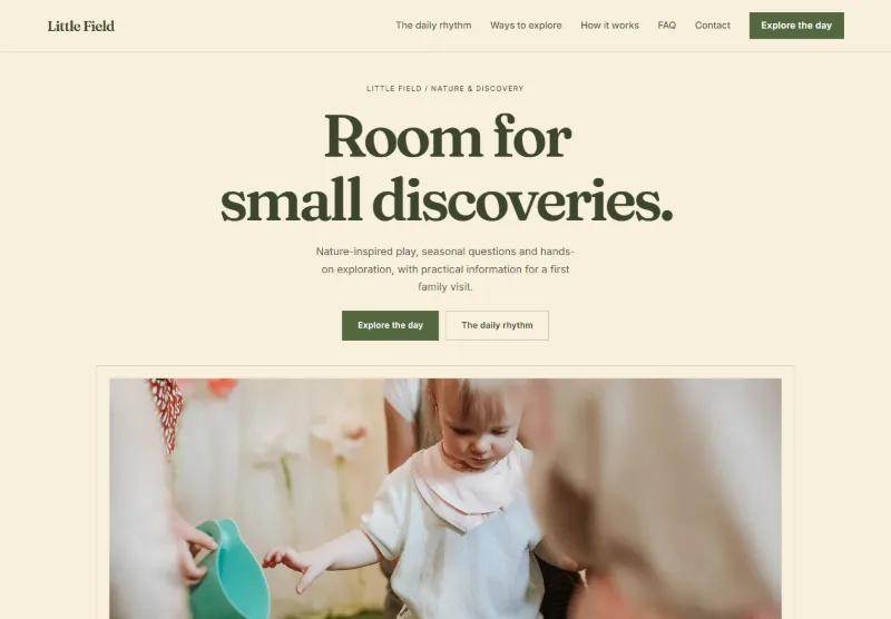 Little Field website concept