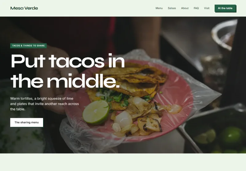 Mesa Verde website concept