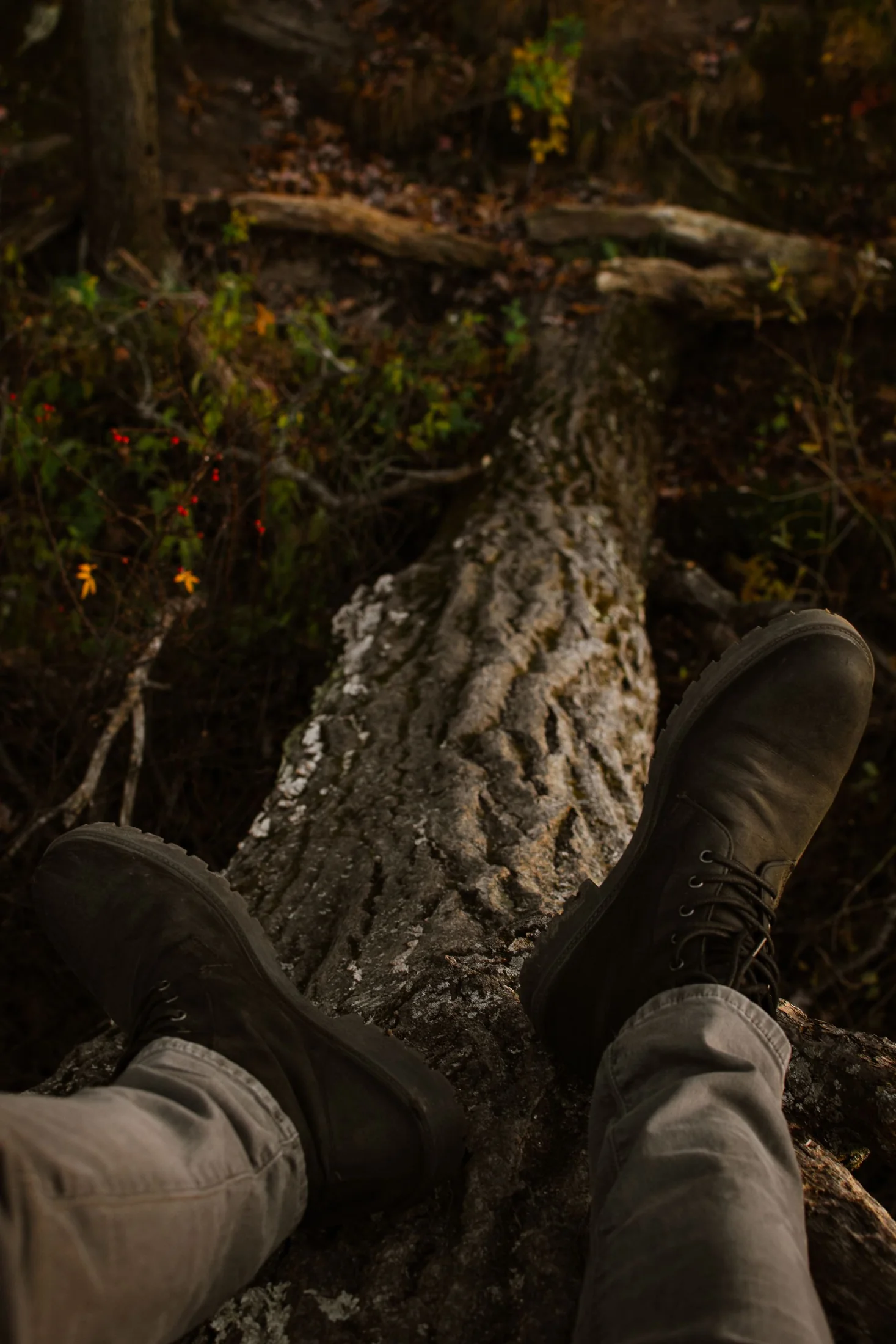 Dark leather boots resting on a log in the woods