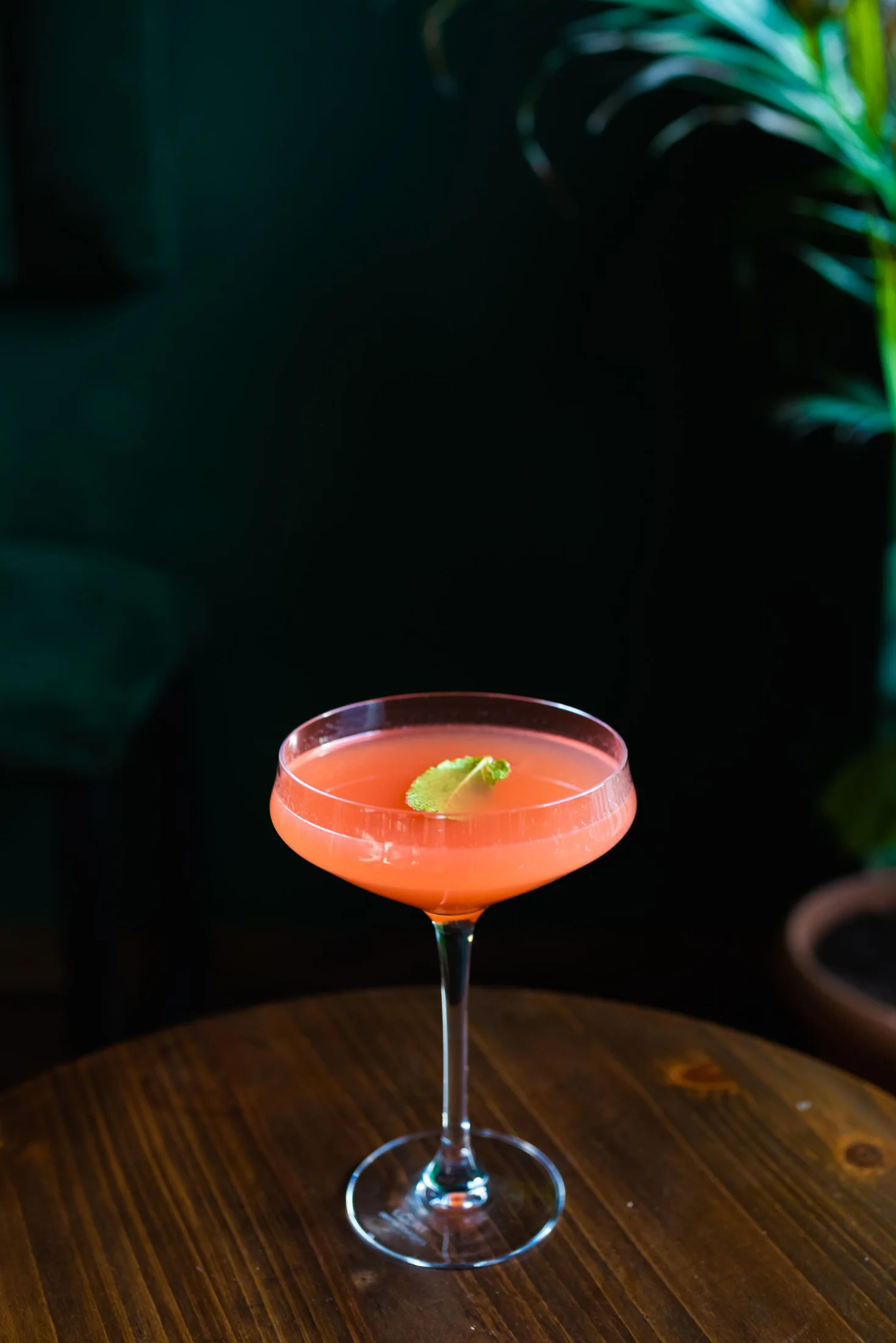 A pink cocktail with lime peel in a coupe glass