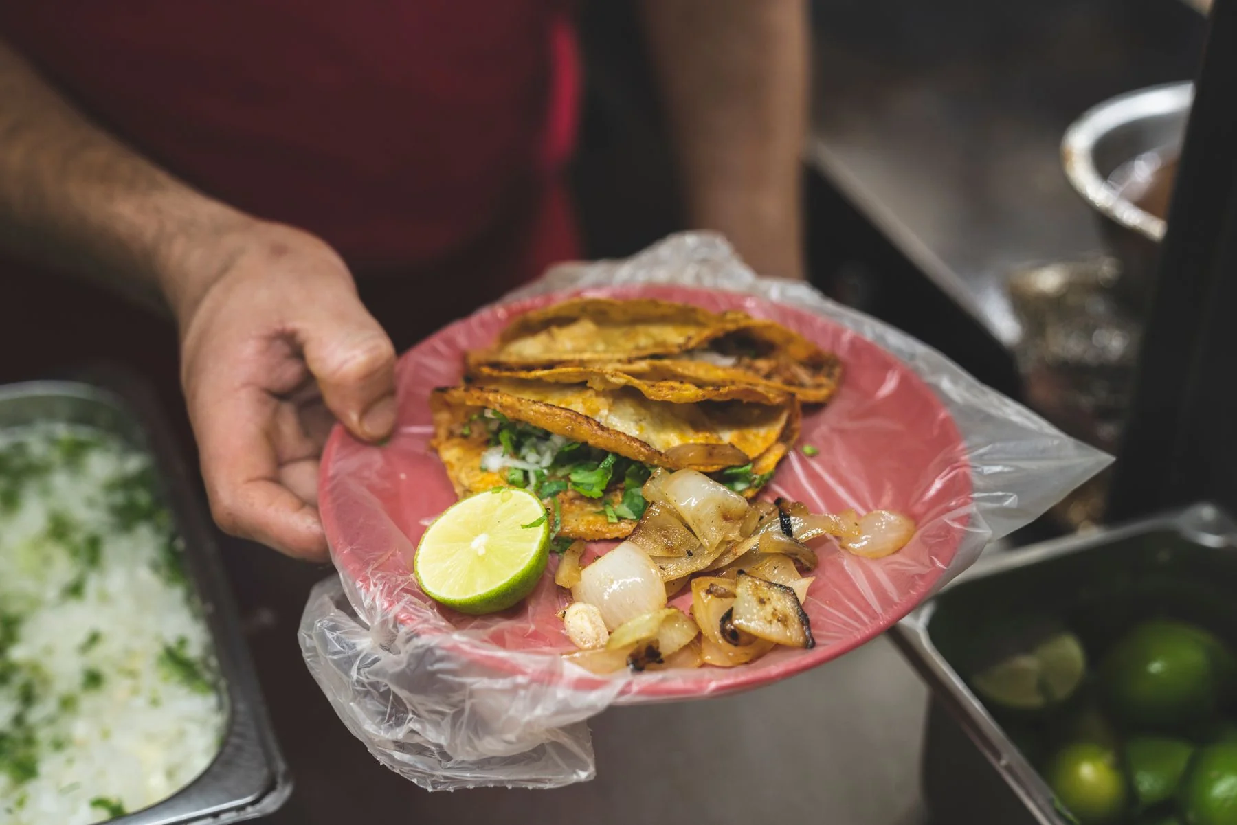 A hand holding a plate of filled tacos