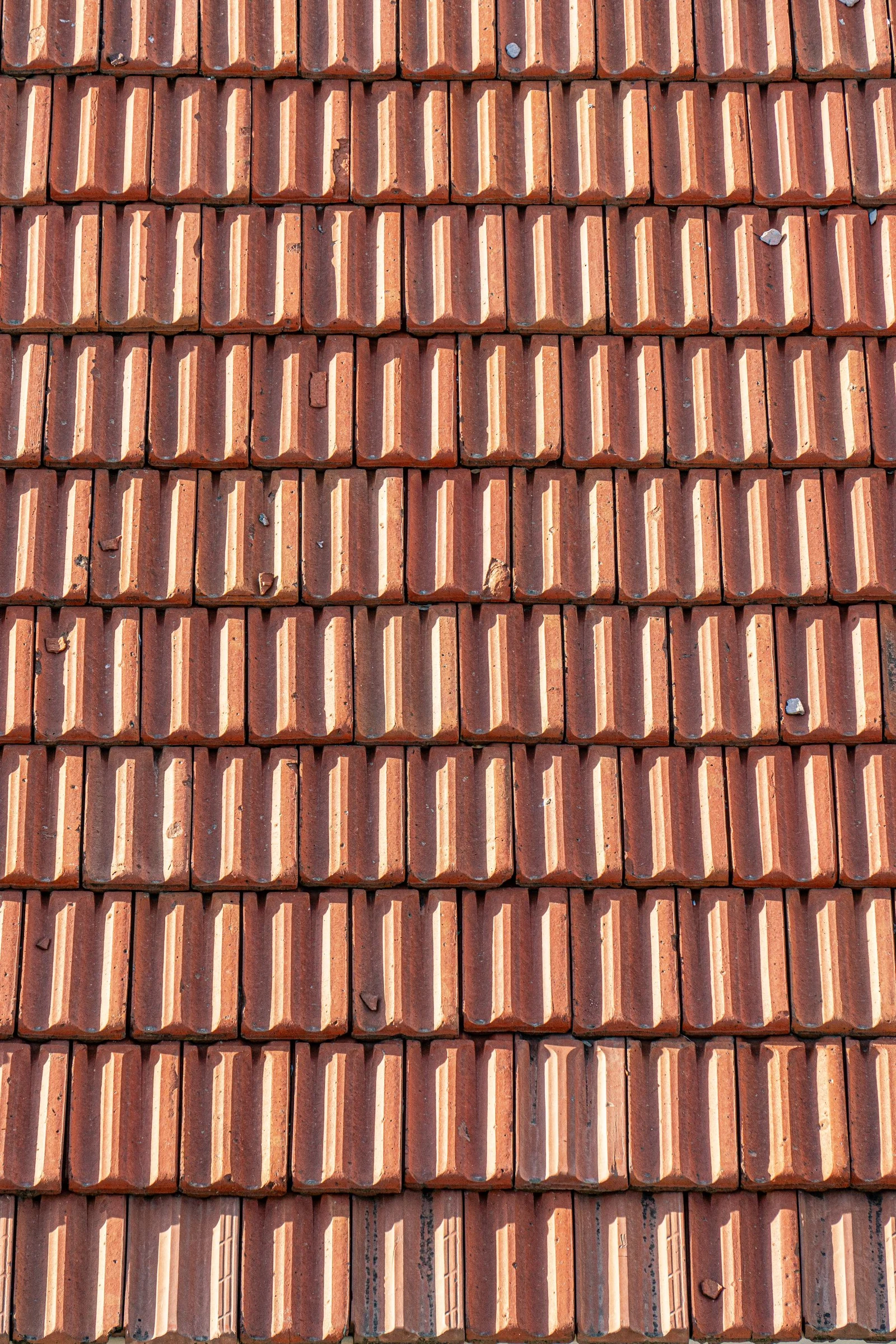 Terracotta roof tiles with alternating raised and flat surfaces